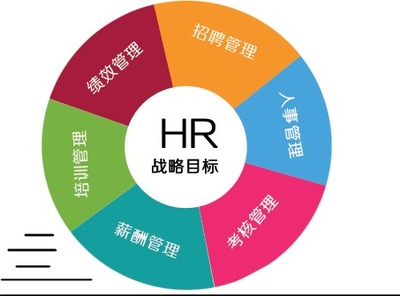 人力资源管理专业就业前景与方向 人力资源服务领域的机遇与挑战