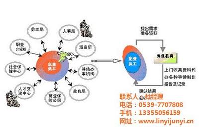 专业人力资源服务 兰山人力资源服务与临沂君益人力资源的卓越实践